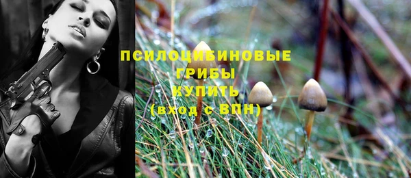 экстази Алексеевка